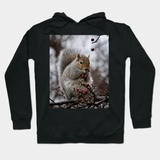 Grey Squirrel Hoodie